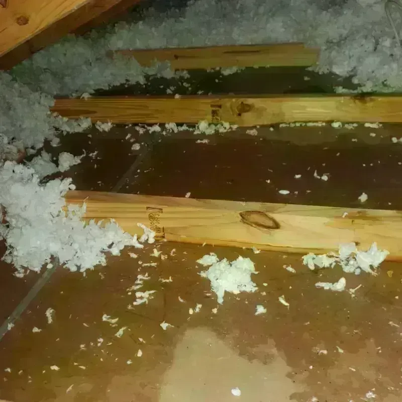 Attic Water Damage in Spencer, TN