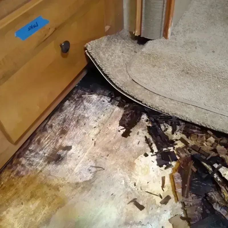 Wood Floor Water Damage in Spencer, TN